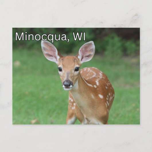 Minocqua Wisconsin Postkarte (Vorderseite)