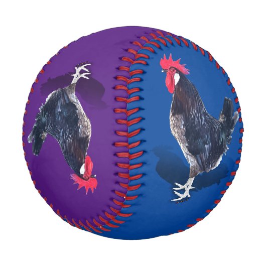 Minorca Rooster Baseball (Schrägansicht)