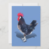 Minorca Rooster Dankeskarte (Vorderseite)