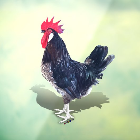 Minorca Rooster Fensteraufkleber (Blatt 3)