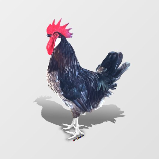 Minorca Rooster Fensteraufkleber (Blatt)