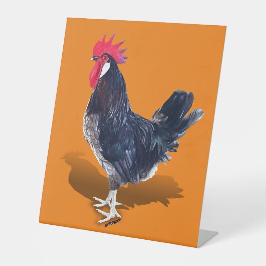 Minorca Rooster Sockelschild (Vorderseite)