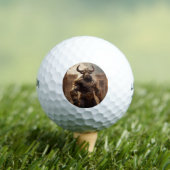 Minotaur Golfball (Insitu T-Shirt)