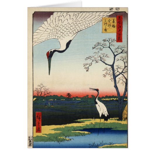 Minowa kanasugi mikawashima (Vorne)