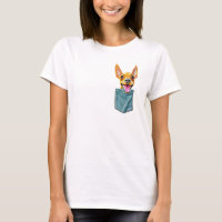 Minpin in Tasche Zwergpinscher Min Pin Welpe