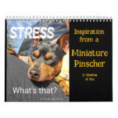MinPIn Inspiration Kalender (Titelbild)