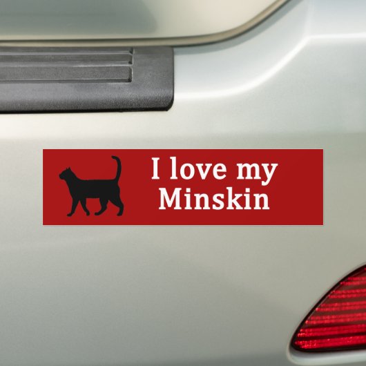 Minskin-Liebe Autoaufkleber (Auf Auto)
