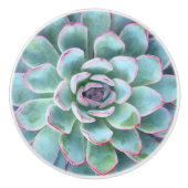 Mint Cyan Succulents Echeveria Keramikknauf (Vorderseite)