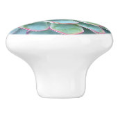 Mint Cyan Succulents Echeveria Keramikknauf (Seitenansicht)