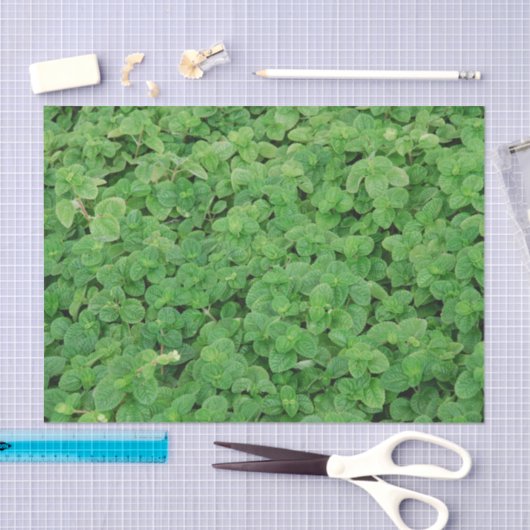 Mint Foliage Seidenpapier (Handwerk)