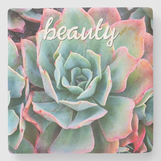 Mint Green Cactus Succulent Foto Beauty Script Steinuntersetzer (Vorderseite)