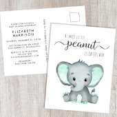 Mint Green Elephant Baby Dusche Einladungspostkarte