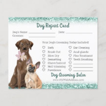 Mint Green Glitzer Dog Grooming Report Card Flyer