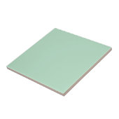 Mint Green Keramik Tile - modern & stilvoll Fliese (Seite)