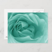 MINT GREEN Nah Eine friedliche Rose Postkarte (Vorne/Hinten)