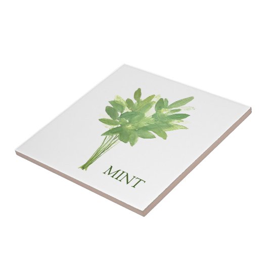 Mint Herb Grüne Küche Thyme Sage Green Fliese (Seite)