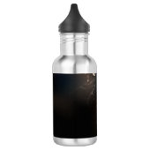 Mint-Night-Schmetterlinge Edelstahlflasche (Links)