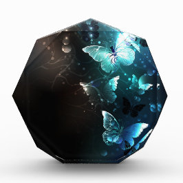 Mint-Night-Schmetterlinge Fotoblock