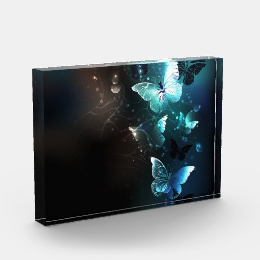 Mint-Night-Schmetterlinge Fotoblock (Links)