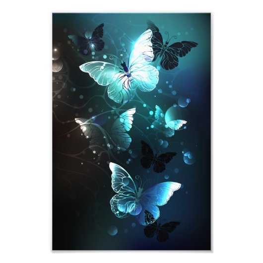 Mint-Night-Schmetterlinge Fotodruck (Vorne)
