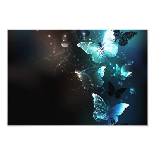 Mint-Night-Schmetterlinge Fotodruck (Vorne)