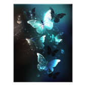 Mint-Night-Schmetterlinge Fotodruck (Vorne)