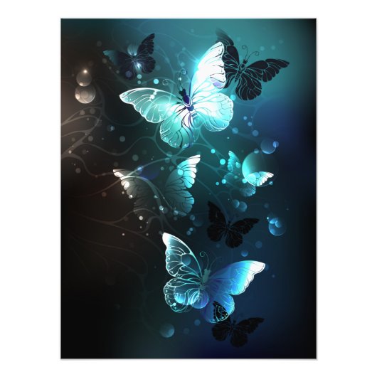 Mint-Night-Schmetterlinge Fotodruck (Vorne)