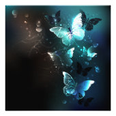 Mint-Night-Schmetterlinge Fotodruck (Vorne)