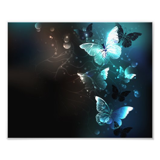 Mint-Night-Schmetterlinge Fotodruck (Vorne)
