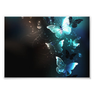 Mint-Night-Schmetterlinge Fotodruck