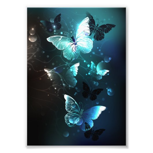 Mint-Night-Schmetterlinge Fotodruck (Vorne)