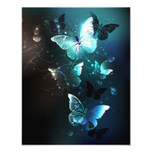 Mint-Night-Schmetterlinge Fotodruck