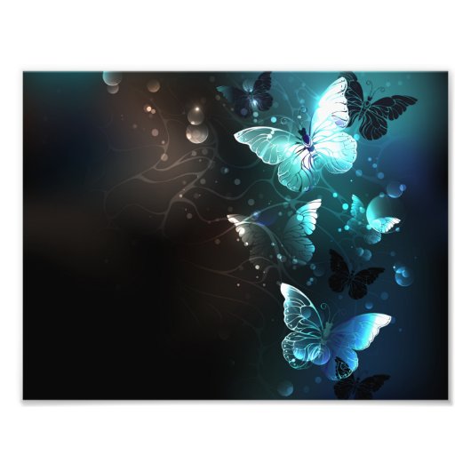 Mint-Night-Schmetterlinge Fotodruck (Vorne)