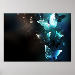 Mint-Night-Schmetterlinge Poster