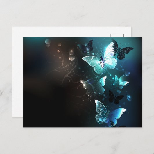 Mint-Night-Schmetterlinge Postkarte (Vorne/Hinten)