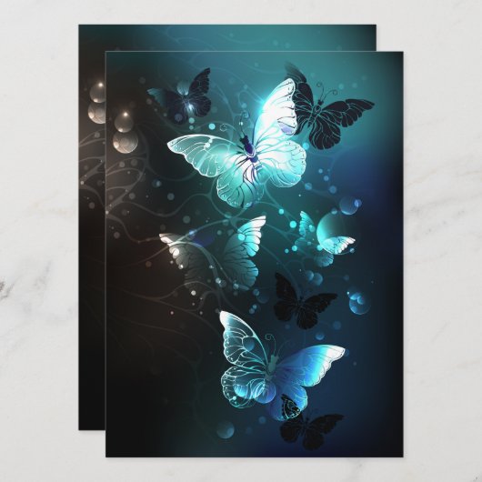 Mint-Night-Schmetterlinge Programm (Vorne/Hinten)