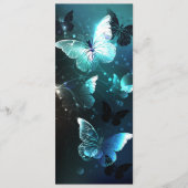 Mint-Night-Schmetterlinge Programm (Vorderseite)