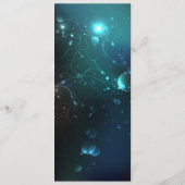 Mint-Night-Schmetterlinge Programm (Rückseite)
