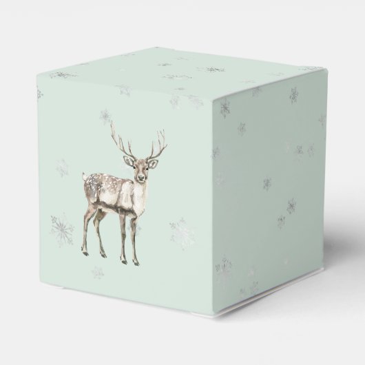 Mint Rustic Weihnachten Geschenkschachtel (Rückseite)