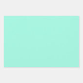 Mint & Weißes Blumenrastermuster Geschenkpapier Set (Vorderseite 2)