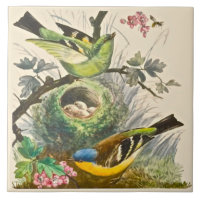 Minton Hand bemalt Vögel Berries Ende 1800er Repro