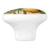 Mintons Lemons Journal Viktorianisch Yellow Kitche Keramikknauf (Seitenansicht)