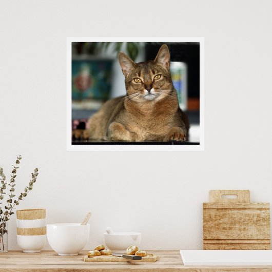 Minu - Minu Poster (Küche)