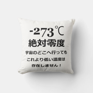 Minus 273 kissen
