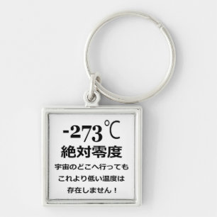 Minus 273 schlüsselanhänger