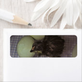 Minuten alt (Insitu)