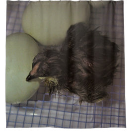 Minuten alt duschvorhang