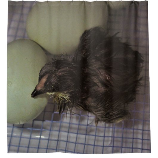 Minuten alt duschvorhang (Vorderseite)