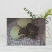 Minuten alt einladung (Stehend Vorderseite)