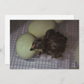 Minuten alt einladung (Vorne/Hinten)